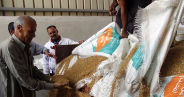 بدء استلام القمح بشون وصوامع الدقهلية بحضور وكيل وزارة الزراعة