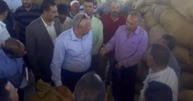 محافظ الوادى الجديد يتفقد أعمال توريد القمح بالداخلة