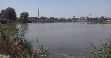 "تنمية الثروة السمكية" تُعلن طرح 63 مزرعة سمكية بدمياط للتأجير في مزاد محلى 