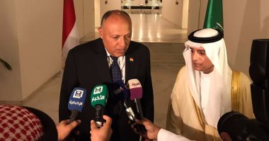 وزيرا خارجية مصر والسعودية يناقشان أوضاع سوريا واليمن وليبيا والأمن العربى
