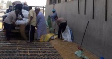 بالفيديو.. محافظ الشرقية : توريد 8 آلاف و636 طن قمح للصوامع والشون من المزارعين