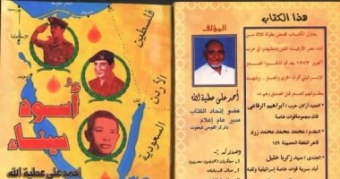 فى ذكرى تحرير سيناء.. 3 كتب ورواية تخلد بطولات الجيش على أرض الفيروز
