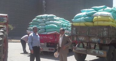 زراعة الدقهلية: توريد 5 آلاف طن قمح بصوامع سندوب 