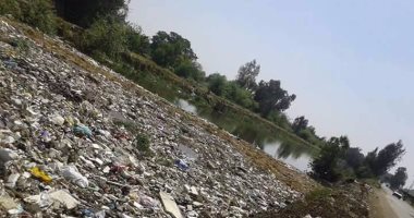 بالصور.. ترعة المقاصد بطنطا تتحول إلى مقلب قمامة 