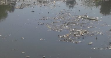 بالصور.. تلوث ترعة القضابة بالغربية يهدد حياة الأهالى