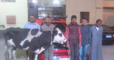 ضبط 8 متهمين بينهم عريف شرطة تخصصوا فى سرقة رؤوس الماشية بالغربية
