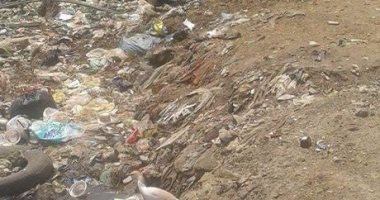 بالصور.. مصرف صحى بقرية متبول فى كفر الشيخ يهدد حياة الأهالى
