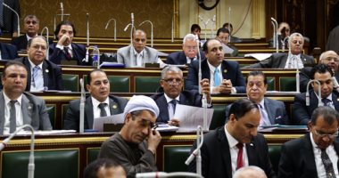 ننشر مادة إنشاء المناطق الحرة العامة والخاصة بـ"قانون الاستثمار" الجديد