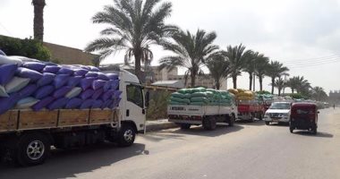 شون الزرقا بدمياط تستقبل 300 طن قمح خلال 24 ساعة