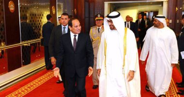  مصطفى أبوزيد يكتب: الزيارات العربية والدور المصرى الفاعل 