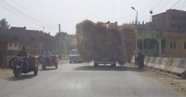 "إسعاف كفر الشيخ" يحذر من وقوع حوادث بسبب نقل قش القمح بين القرى والمراكز 