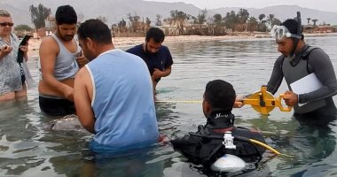 البيئة: نفوق سمكة الشمس النادرة بعد انهيار كافة مؤشراتها الحيوية