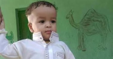 جنح بلبيس تؤجل الحكم في قضية مقتل طفل تحت عجلات سيارة لطلب التحريات