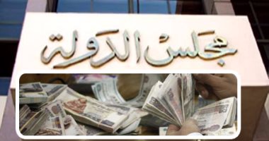 مجلس الدولة يقترب من إنهاء مراجعة قانون المخلفات الجديد.. يحوى أكثر من 70 مادة تنظم إدارة المنظومة فى مصر ويحدد رسوم مقابل الخدمة وعقوبات مخالفته.. و"البيئة": نهدف لدعم إنشاء صناعة وطنية لإدارة المخلفات