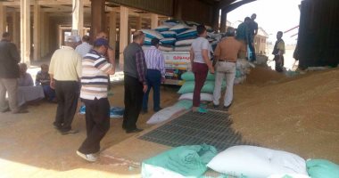 تموين كفر الشيخ: توريد 113 ألف و362 طن قمح بشون وصوامع المحافظة حتى الآن