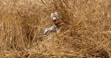 تنفيذ مشروع تطوير الرى الحقلى بالطود بتكلفة 50 مليون جنيه بالأقصر