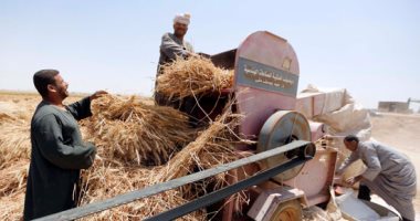  "التموين" : توريد 180 ألفا و ٢٦طن قمح بشون كفر الشيخ