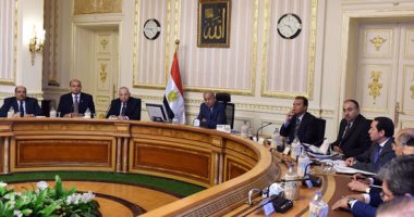"الوزراء": علاج 10 حالات من مصابى الحادث الإرهابى بمعهد ناصر  والمنيا