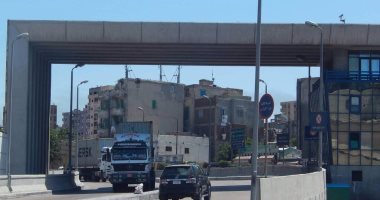 وصول 87 طن قمح وسولار من روسيا لميناء الأسكندرية