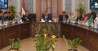 وكيل البرلمان لإعلاميات أفريقيا: دستور مصر يؤكد انتماءها للقارة السمراء