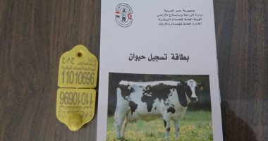 بيطرى دمياط يواصل تنفيذ حملة ترقيم الثروة الحيوانية