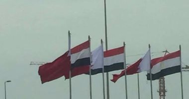 بالفيديو والصور .. شوارع البحرين تتزين بعلم مصر ابتهاجاً بزيارة السيسى