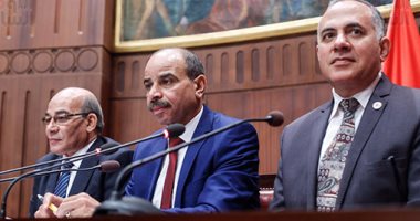 بالصور.. وزير الرى يصل البرلمان لحضور اجتماع لجنة الزراعة بعد تقديم مذكرة ضده أمس