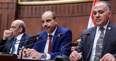 النائب فتحى الشرقاوى يتهم حماية النيل بإهدار المال العام