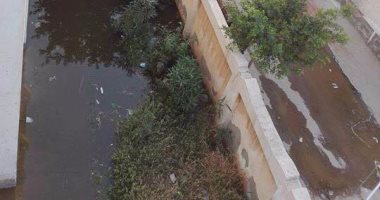 "مدرسة أم مستنقع".. المجارى تحول مدرسة لبركة مياه فى أبيس 17 بالإسكندرية