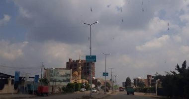 أعمدة الكهرباء مضاءة نهارا بطريق المحلة وقارئة تطالب محاسبة المهملين