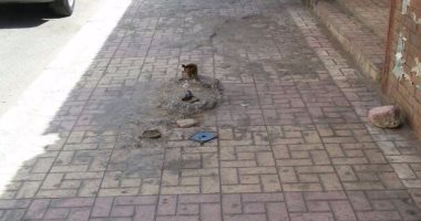 بالصور.. قارئ يطالب محافظة الإسكندرية بإزالة بقايا مواسير الإعلانات من الطرق