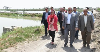 محافظ الشرقية: المبانى المقامة بأرض المزارع السمكية بالعباسة لا تخص الآثار