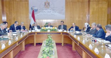 المجلس الوزارى لتيسير منظومة التجارة يستعرض تطبيق الربط الإليكترونى للمنافذ