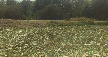 بالصور.. ترعة مياه الشرب بالسويس تعانى من التلوث.. والمحافظ يخصص فرق لتطهيرها