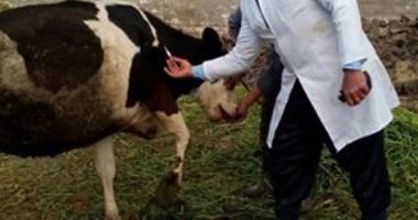 محافظة الشرقية تبدأ فى تجهيز قاعدة بيانات للثروة الحيوانية
