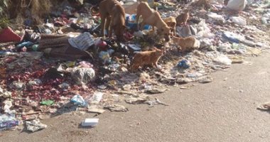 بالصور.. القمامة تحاصر مدخل عزبة أبو مرعى بالقليوبية والأهالى يستغيثون