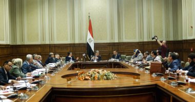 نائبة: مافيا تستولى على الأراضى بدعوى احتراق أوراق الملكية أثناء الثورة
