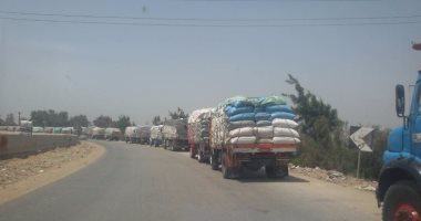 زراعة الدقهلية: زيادة كمية القمح المورد عن العام الماضى