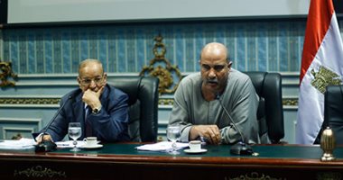 بالصور.. "زراعة البرلمان" توصى بزيادة الموازنة العامة لوزراة الرى لـ 7.2 مليار جينه