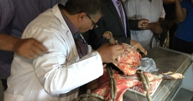 بالصور.. ضبط 90 كيلو لحوم فاسدة داخل "هايبر" بالمحلة