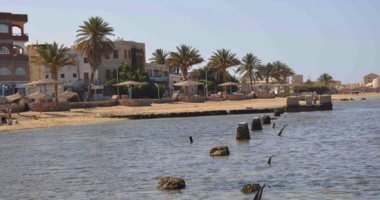 بالصور.. شواطئ القصير السحر والجمال والبحر للجميع
