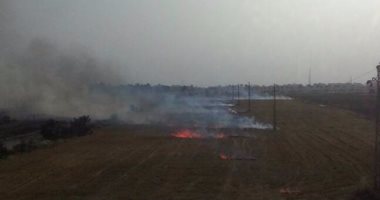 بالصور.. مواطن يرصد عمليات حرق قش القمح فى الصالحية