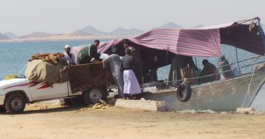 هل تَحقَّق الهدف من إغلاق بحيرة ناصر 60 يومًا.. الصيادون: "لم يستطيعوا السيطرة على المُهربين.. سعر الكيلو وصل لـ30 جنيهاً رغم مجاورتنا البحيرة.. و"الهيئة": 63% من معدلات التبويض تحدث خلال هذه الفترة