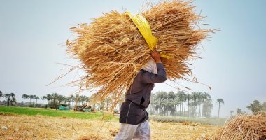 مصلحة الدمغة: استمرار فحص موازين الأقماح المحلية لمطابقة الأعيرة