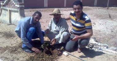 استكمال تنفيذ خطة التنمية المحلية لقرى المعصرة بالداخلة بالوادى الجديد 