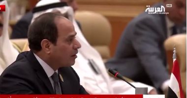 بالفيديو.. السيسي: مصر تخوض يوميًا حربًا ضروسًا ضد الإرهاب فى شمال سيناء