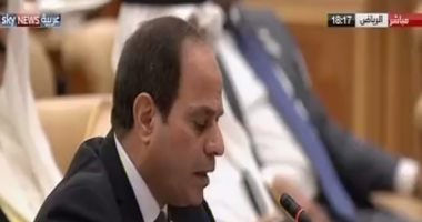 السيسي يتساءل: من يوفر الملاذ الآمن للإرهابيين ويمنحهم الغطاء السياسى؟