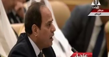 السيسي: عقدت مباحثات مثمرة مع مستشار النمسا ونطلع لزيادة الاستثمارات