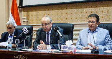 بالصور.. لجنة الإسكان بمجلس النواب تعلن موافقتها على موازنة هيئة التخطيط العمرانى