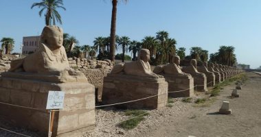 آثار الأقصر : إنجاز 15% من أعمال المرحلة الثانية بمشروع طريق الكباش
